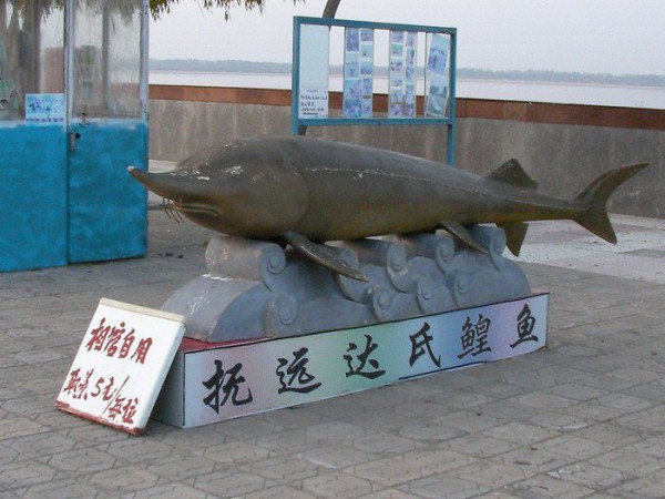 Памятник рыбе в Фуюане. Китай