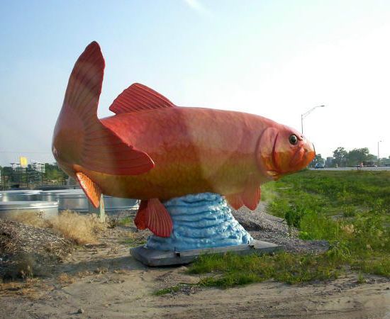 Памятник рыбе в США