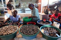 Мозамбик собирается поставлять морепродукты в Россию