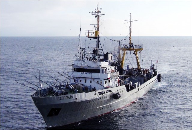 Российскими рыбаками выловлено 6 тысяч тонн сардин иваси