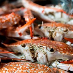 Свежие морепродукты из Приморья пошли в Китай через КПП "Суйфэньхэ"