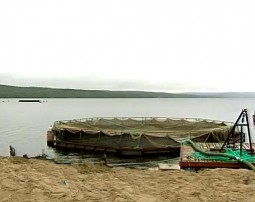 Рыбная ферма на Нижнетуломском водохранилище