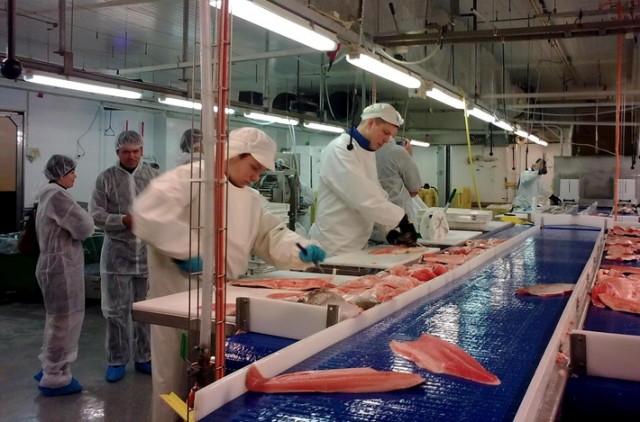 В Одинцовском районе планируют построить рыбоперерабатывающий завод