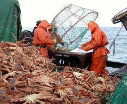 «Акватехнологии» обеспечит ресурсами рыбный рынок Владивостока
