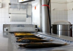 ООО "Рыбная компания" будет поставлять продукцию в Китай