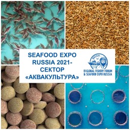 Аквакультура получит отдельный сектор на выставке Seafood Expo Russia 2021